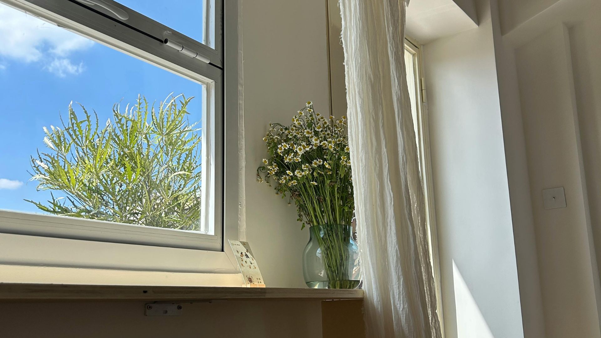 New energy-efficient windows in Genesee County