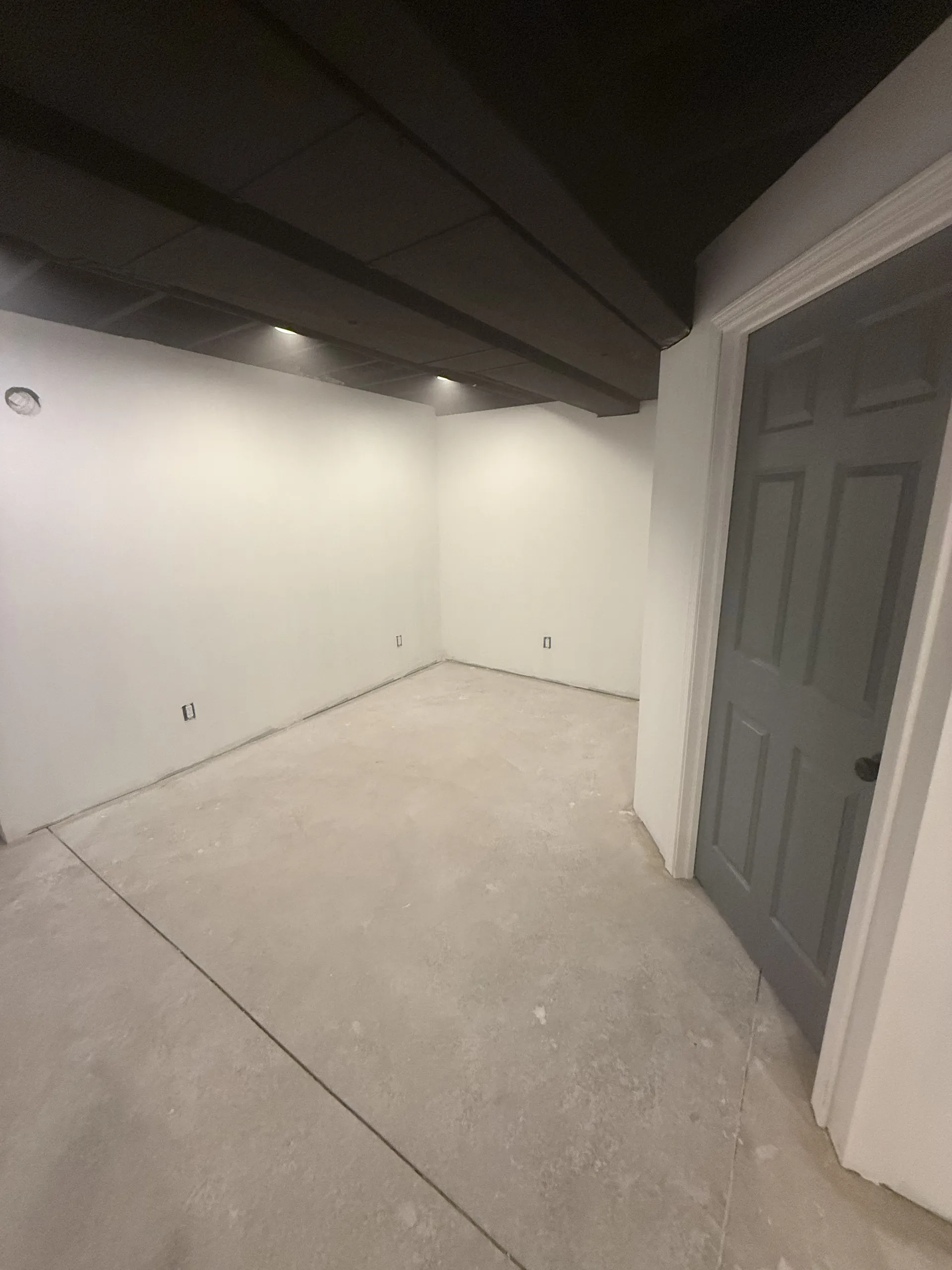 Basement Remodeling project photo 28