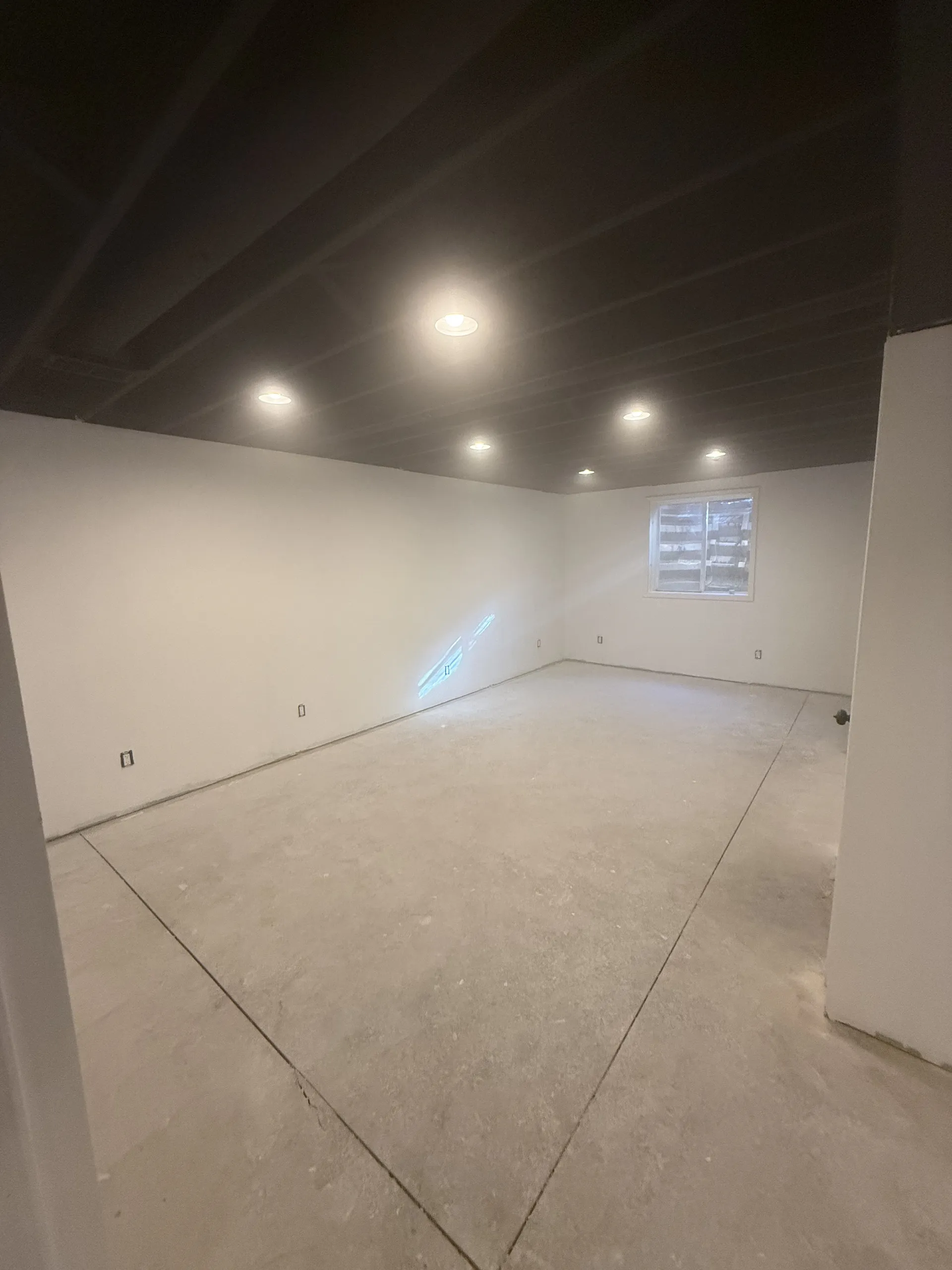 Basement Remodeling project photo 30